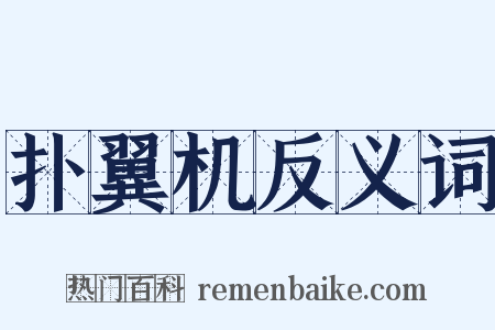 扑翼机反义词是什么意思的图片